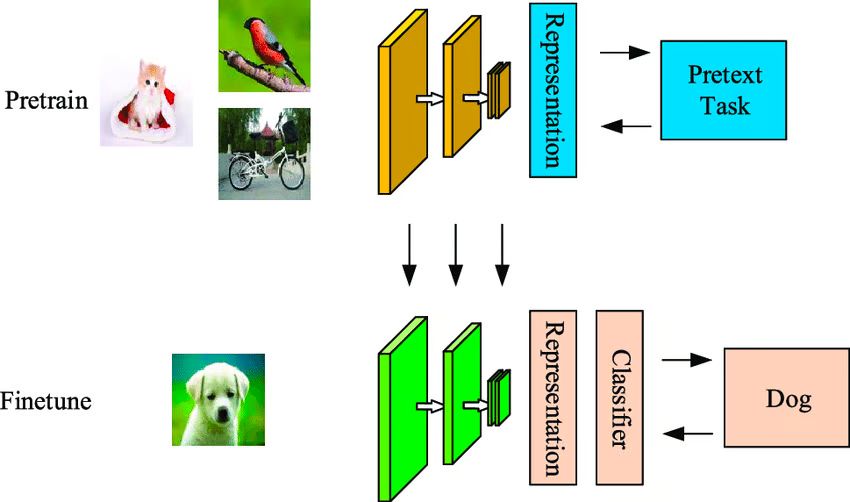 Self Supervised Machine Learning